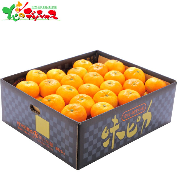 【みかん】 楽天市場】【2025/12/1〜12/15お届け】 早割 お歳暮 2025 愛知JA