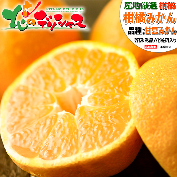 楽天市場】【予約】産地厳選 国産 甘夏 10kg (訳あり/常温便
