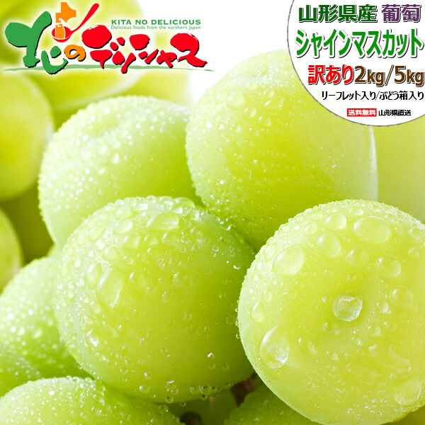【予約】 山形県産 ご家庭用 ぶどう シャインマスカット (訳あり/冷蔵便) <BR><BR>旬 秋の味覚 ブドウ 葡萄 シャイン マスカット 2kg 5kg 訳あり わけあり 自宅用 家庭用 おうち用 人気 売れ筋 果物 フルーツ 山形県 東根市 産地直送 送料無料 お取り寄せ