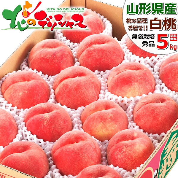 【予約】 JA天童 山形県産 白桃 5kg (共選/秀品/12玉～18玉入り/冷蔵便) <BR><BR> 白桃 はくとう もも 桃 夏ギフト 暑中見舞い 残暑見舞い 敬老の日 ギフト 贈り物 贈答 お祝い お礼 お返し 内祝い プレゼント 果物 フルーツ 山形県 産地直送 送料無料 お取り寄せ