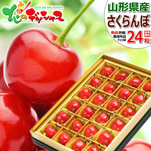 ※さくらんぼさま専用　サイズダウン　レボリューション　美容　波動 さくらんぼさま専用 サイズダウン レボリューション 美容 波動