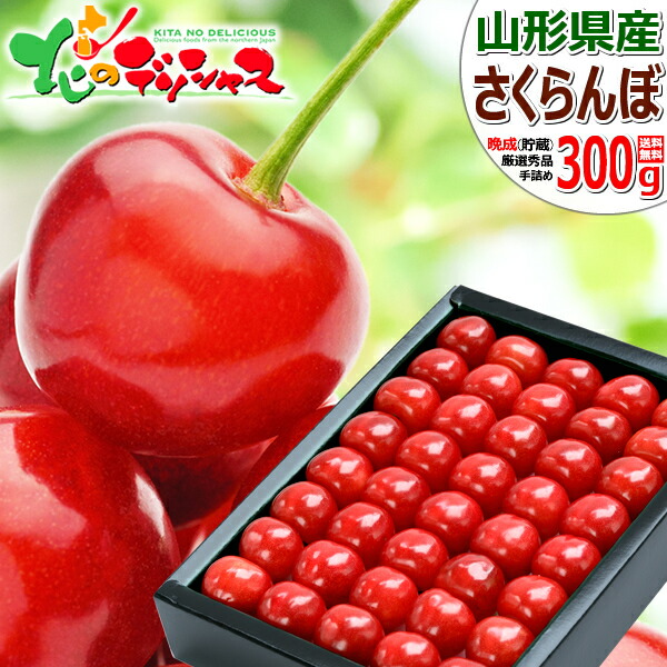 【予約】 山形県産 晩生 さくらんぼ (貯蔵品/秀品/選べるサイズ/1箱300g入り/化粧箱入り/冷蔵便) <BR><BR>晩成 サクランボ 佐藤錦 紅秀峰 Lサイズ 2Lサイズ お中元 ギフト 贈り物 贈答 お祝い お礼 プレゼント 果物 フルーツ 山形県 東根市 産地直送 送料無料 お取り寄せ