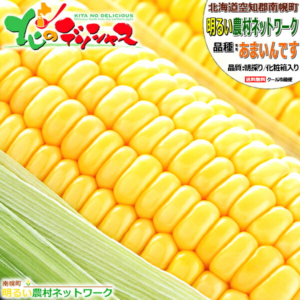 【予約受付中】北海道産 南幌町 とうもろこし あまいんです (黄色/クール冷蔵便) 南幌町明るい農村ネットワーク 朝採り トウモロコシ スイートコーン とうきび 残暑見舞い ギフト 贈り物 お祝い プレゼント 人気 北海道 野菜 グルメ 産地直送 お取り寄せ|北のデリシャス