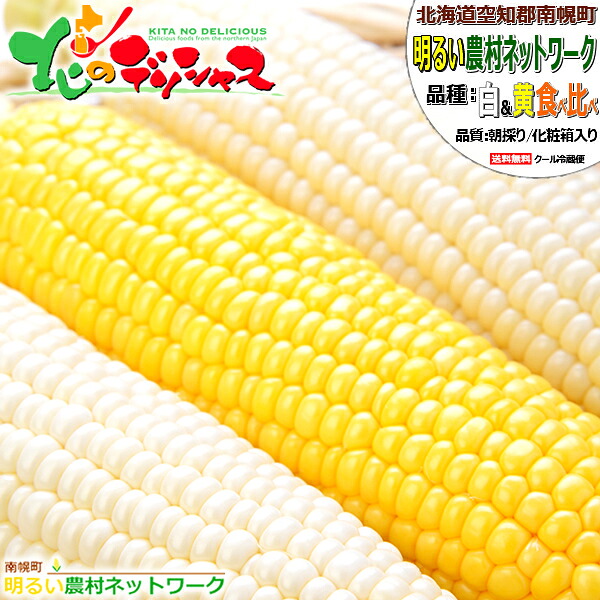 【予約受付中】北海道産 南幌町 とうもろこし 食べ比べ (白色&黄色/冷蔵便) 南幌町明るい農村ネットワーク 朝採り トウモロコシ スイートコーン とうきび 残暑見舞い ギフト 贈り物 お祝い プレゼント 人気 北海道 野菜 グルメ 産地直送 送料無料お取り寄せ|北のデリシャス