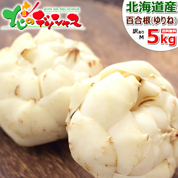 【楽天市場】【予約】北海道産 百合根 2kg (2L-3Lサイズ/8個-13個入り) 野菜 冬野菜 ゆりね ユリネ ゆり根 ユリ根 関西 西日本  京料理 伝統野菜 正月料理 ギフト 贈り物 プレゼント おうちグルメ 人気 食品 グルメ 北海道 送料無料 お取り寄せグルメ : 北の ...