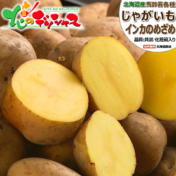 【終了間近】 北海道産 じゃがいも インカのめざめ (JA共撰/M-LMサイズ/冷蔵便) 秋野菜 野菜 インカ インカの目覚め ジャガイモ 馬鈴薯 越冬 3kg 5kg 10kg ギフト 贈り物 お祝い 内祝い ご家庭用 北海道 食品 グルメ 北海道直送 送料無料 お取り寄せ 7,053円