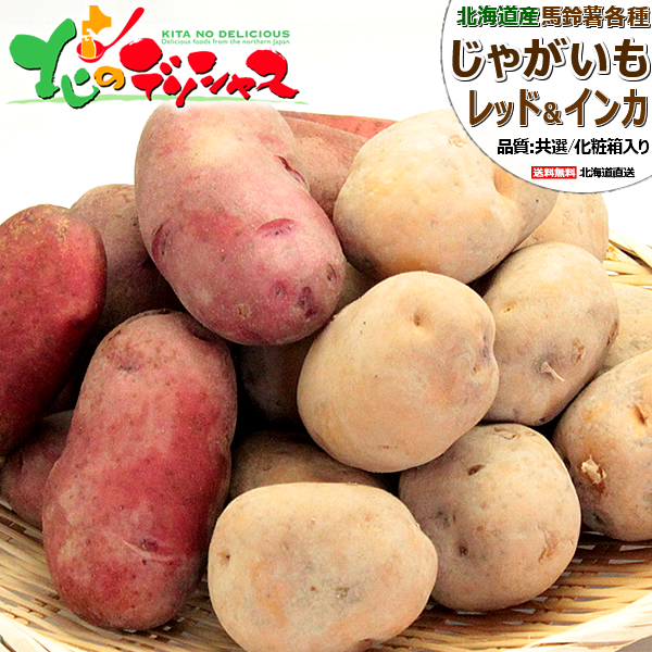 北海道　新じゃがいも　　ホクホクインカのめざめS20kg ジャガイモ　旨い！ imgrc0202843057.jpg?fitin=720:720