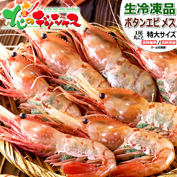 北海道 エビ ボタンエビ (BFL/メス子持ちorオス・メス食べ比べ/生冷凍) <BR><BR>特大 えび 海老 ぼたんえび 牡丹えび 生冷 お刺身 刺身用 ギフト 贈り物 お祝い お礼 お返し 内祝い プレゼント 自宅用 おうち用 グルメ 北海道 送料無料 お取り寄せ