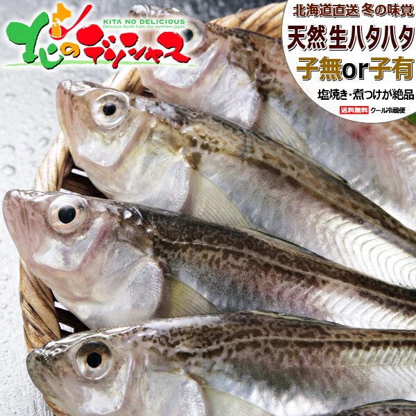 【予約】 北海道産 生ハタハタ 1箱 3kg (オス＆メス子無し混みorメス子持ち/冷蔵便) <BR><BR>生 冬の味覚 はたはた ハタハタ 鰰 ぶりこ ブリコ 卵 塩焼き 煮つけ しょっつる鍋 飯寿司 ギフト 贈り物 自宅用 ご家庭用 北海道 グルメ 送料無料 お取り寄せ