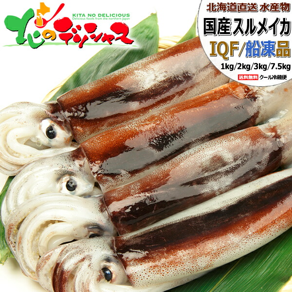 北海道産 スルメイカ (生食用/船凍品) <BR><BR>国産 日本海産 真いか 真イカ するめいか 生冷 冷凍 急速冷凍 IQF 刺身 塩辛 ギフト 贈り物 お祝い お礼 お返し 内祝い プレゼント 冬ギフト 年越し お正月 ご家庭用 自宅用 おうち用 グルメ 北海道 送料無料 お取り寄せ