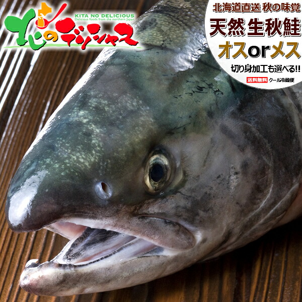 【予約】 北海道産 天然 生秋鮭 (オスorメス/冷蔵便) <BR><BR>秋の味覚 生 天然物 さけ サケ しゃけ シャケ 秋サケ 秋シャケ シロサケ アキサケ アキアジ 鍋 鮭鍋 石狩鍋 ちゃんちゃん焼き ギフト 贈り物 プレゼント 自宅用 家庭用 北海道 グルメ 送料無料 お取り寄せ