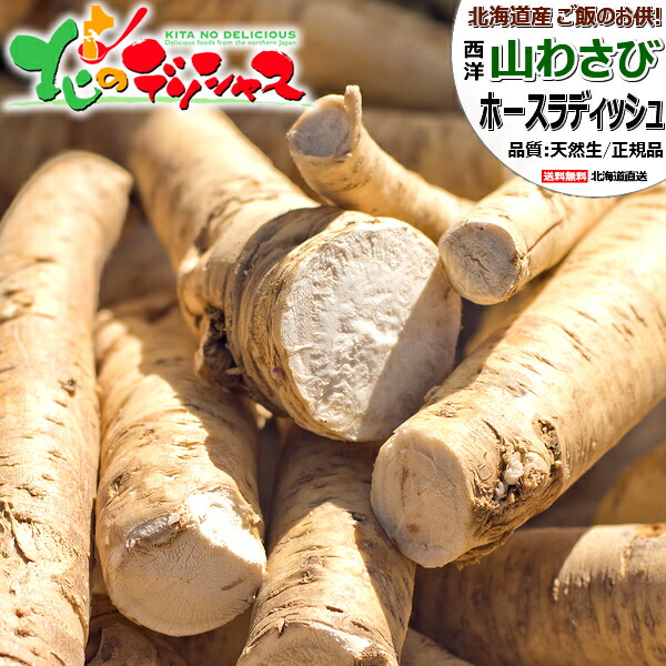 楽天市場】【予約/お届け日指定不可】 北海道産 山菜 天然