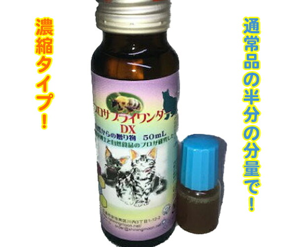 楽天市場 鼻トラブル 鼻とーる ネコポス お鼻に垂らすスースーしない猫用サプリメント 10ml プロポリス配合 鼻サラサラ ハウスダスト くしゅん 改善 息苦しい 解消 愛猫 犬 犬使用可 愛犬 簡単 健康 健康管理 快適 ねこ ネコ 生商品返品不可 ねこのゴールドムーン