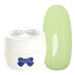 楽天市場】LEAFGEL PREMIUM リーフジェルプレミアム ジェルネイル