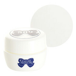 楽天市場】LEAFGEL PREMIUM リーフジェルプレミアム ジェルネイル