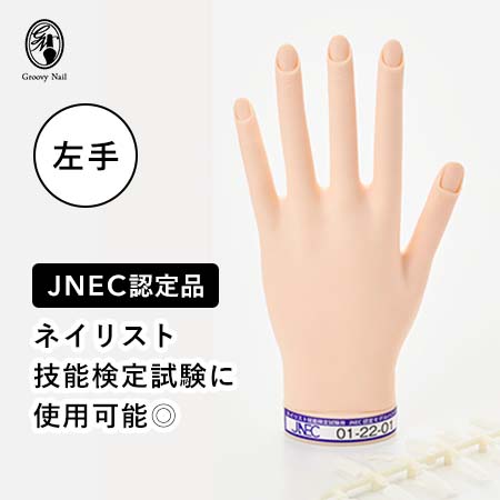 【楽天市場】 JNEC認定 STモデルハンド ネイルチップ 練習用 