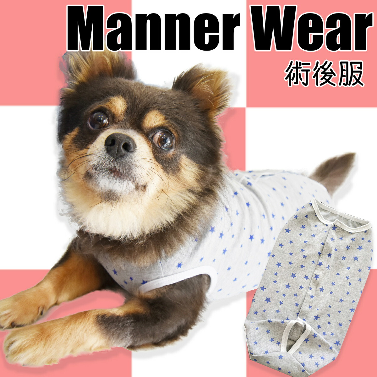 楽天市場】【犬服 介護服 術後服 避妊手術後 乳腺腫瘍 保護服