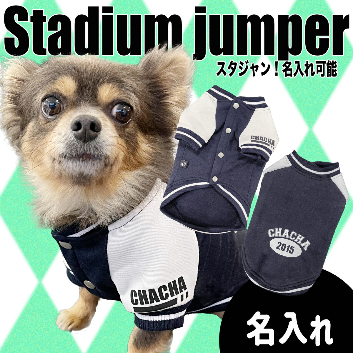 楽天市場】犬服【G-snap】スタジャン ブルー 青 BLUE 新作 名入れ 犬