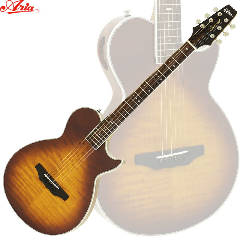楽天市場】【26日までポイント8倍！】Takamine タカミネ