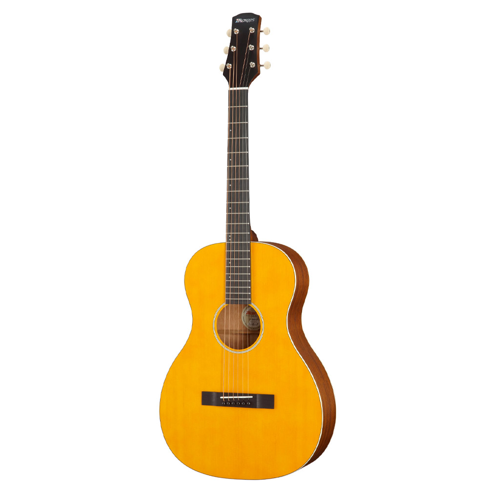 楽天市場】【1/5までポイントUP】MORRIS アコースティックギター Y