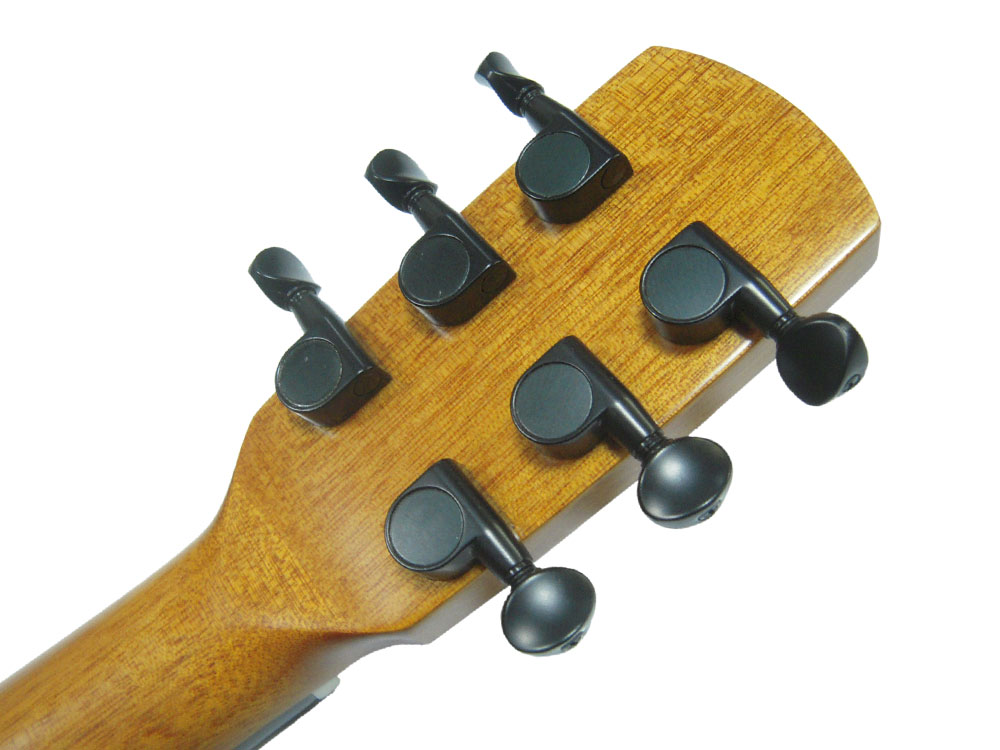 柔らかい 楽天市場 期間限定 選べる特典付 Anuenue アコースティックギター Ann M10 シトカスプルーストップ単板 セミグロス仕上げ アヌエヌエ Smtb Kd Rcp ｇ ｓｔｏｒｅ 楽天1位 Innovatio Pasca Uinjambi Ac Id