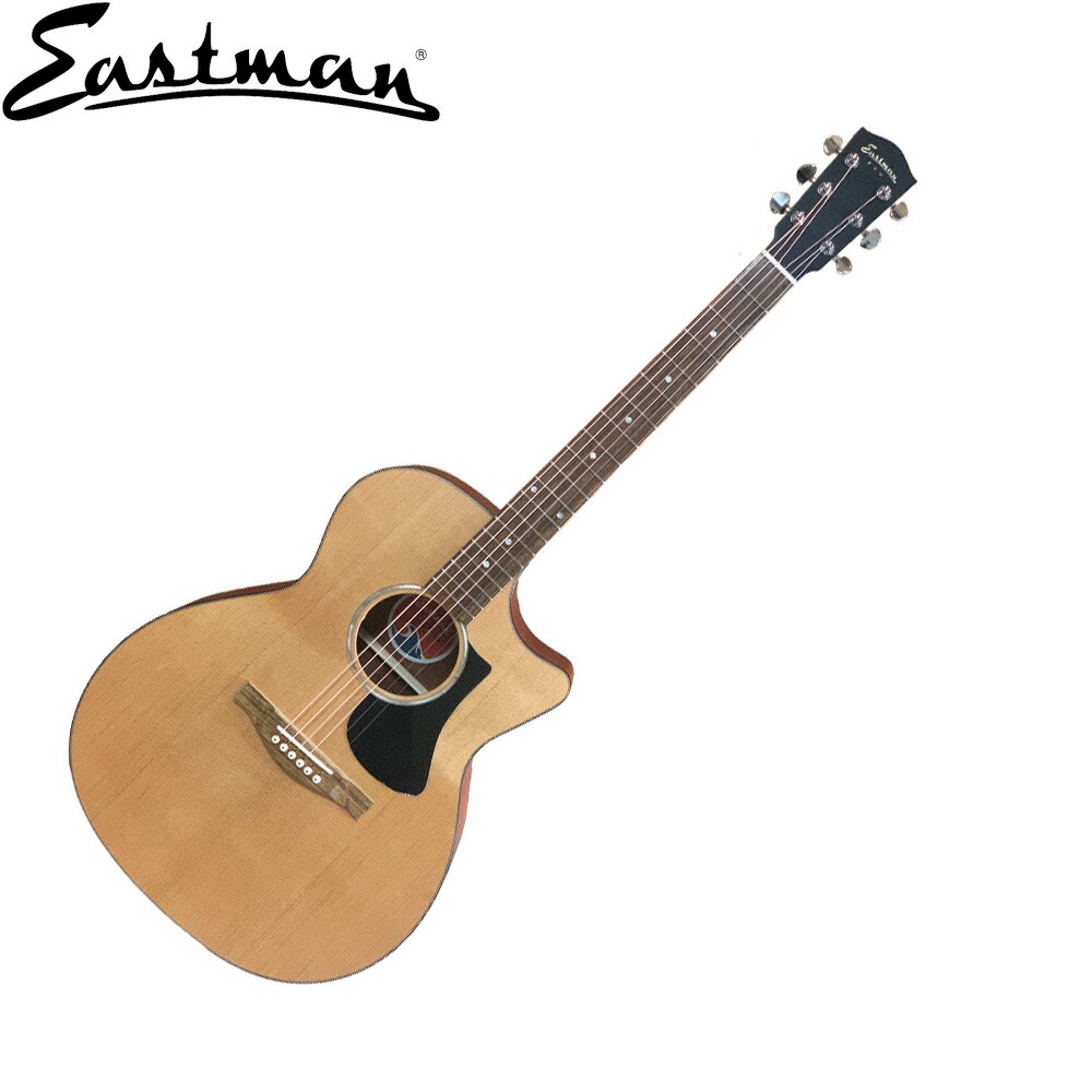 楽天市場】【1/5までポイントUP】イーストマン アコースティックギター