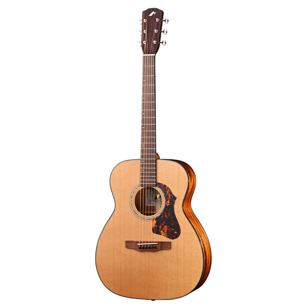 楽天市場】Morris F-LTD II【限定モデル】【クリップチューナー