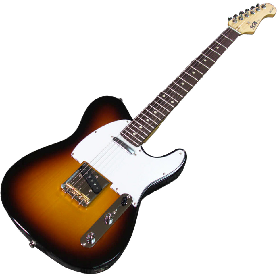 FUJIGEN(FGN) テレキャスターKNTE10RBD モデファイ FUJIGEN(FGN) テレキャスターKNTE10RBD モデファイ