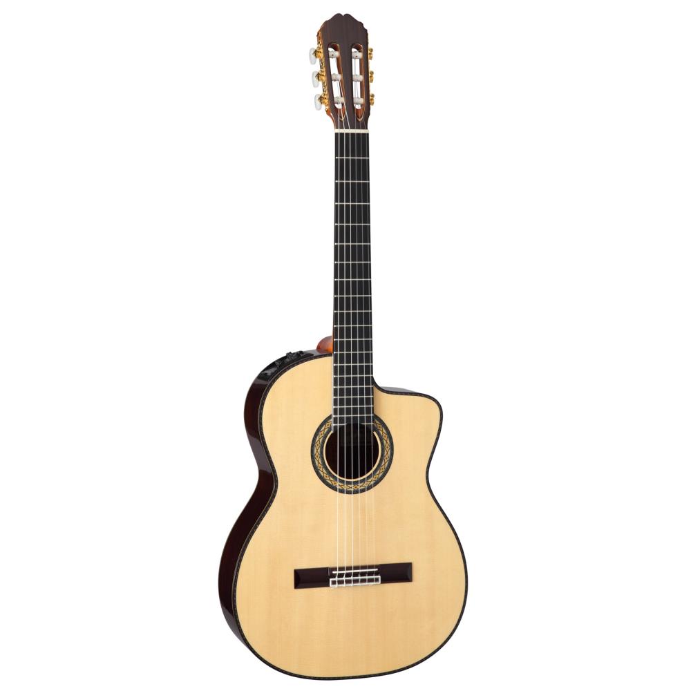 Takamine タカミネ エレクトリックアコースティックギター 300 Series DMP370NC N