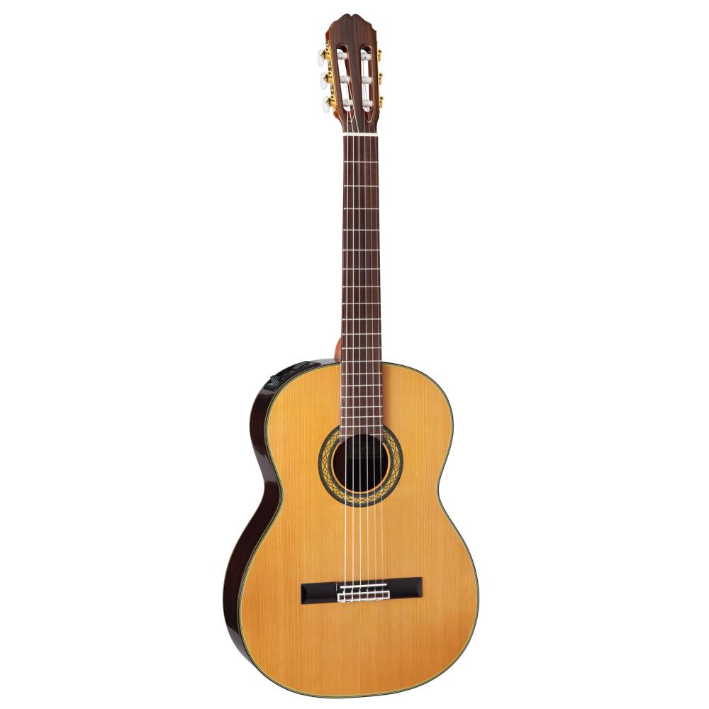Takamine タカミネ エレクトリックアコースティックギター 300 Series PTU340N N