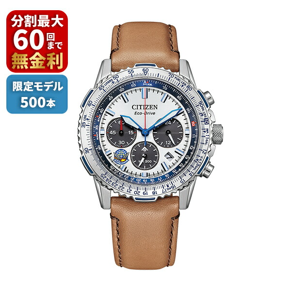 【豪華特典付き】CITIZEN PROMASTER プロマスター SKYシリーズ Blue Impulse 限定500本 CA4661-09A
