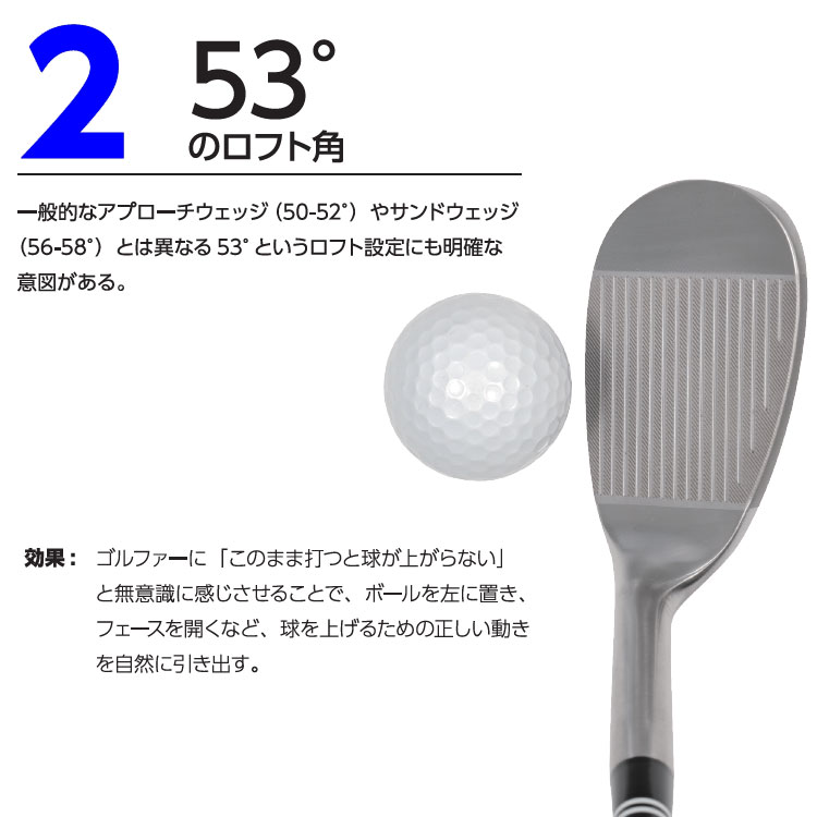 5月下旬入荷分】 横田真一プロ監修 リンクス スライドソール マスター