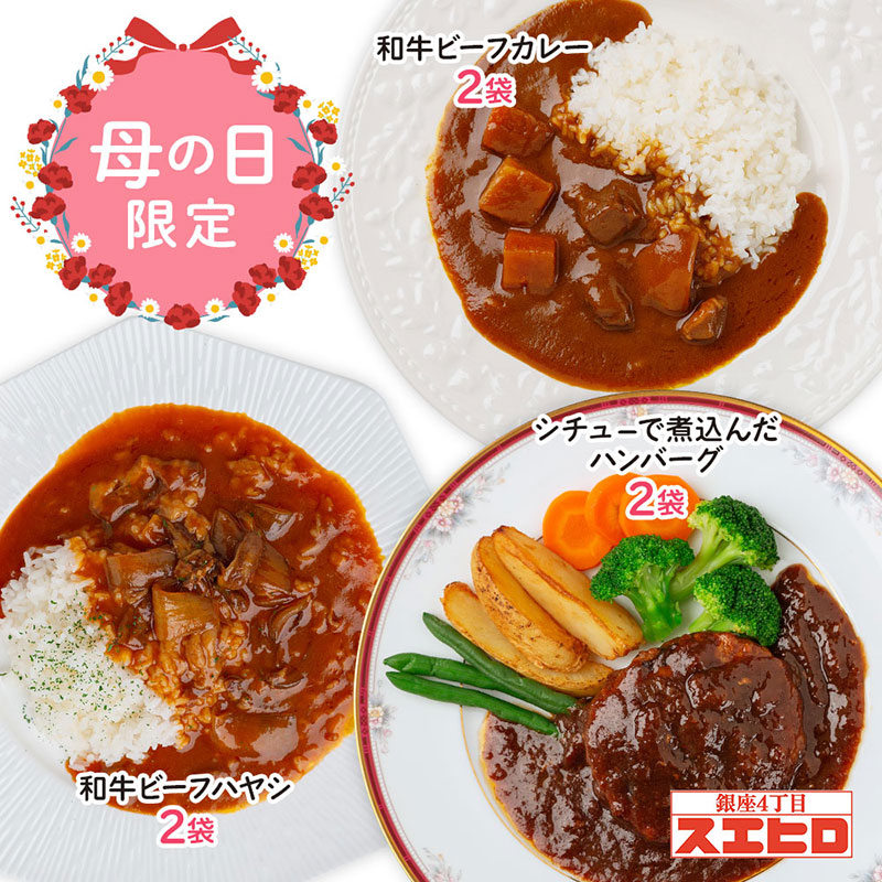 【母の日限定】カレー ハヤシ 煮込ハンバーグ 各2食 計6食分 詰め合わせ セット スエヒロ レトルト 送料無料 常温保存 ギフト 贈り物 お礼 老舗 高級 食品 保存食 牛肉 洋風 惣菜 湯せん