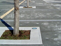 防根シート施工例
