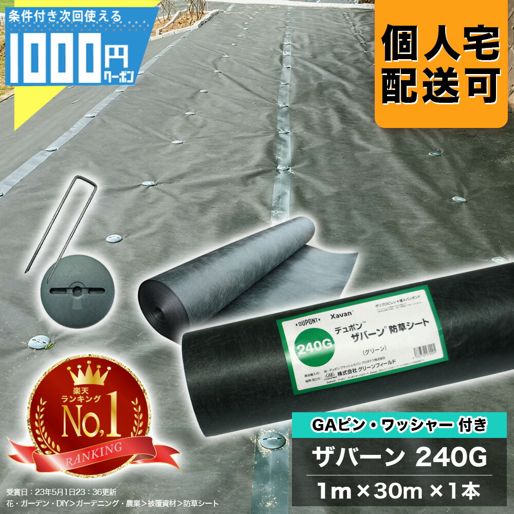 楽天市場】【10/25は確率2分の1!最大100%Pｷｬｯｼｭﾊﾞｯｸ】[楽天1位