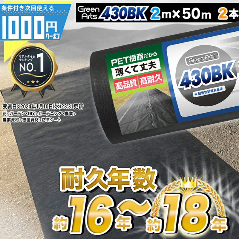 横430 縦350 黒　オフセット上穴無し　全ブーゲン 横430 縦350 黒オフセット上穴無し全ブーゲン