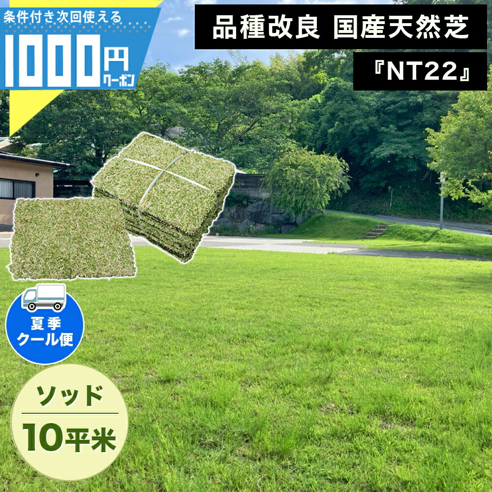 TM9 芝生 6束セット 20925850.jpg