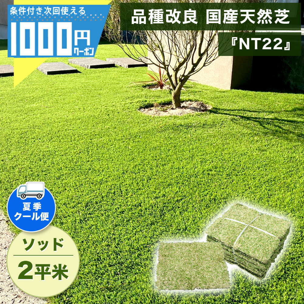 1000円クーポン付 クール便出荷 暑さ対策 天然芝 鹿児島産 Nt22 高麗芝 2平米分 高級天然芝 ソッド 省管理 Nittosekko