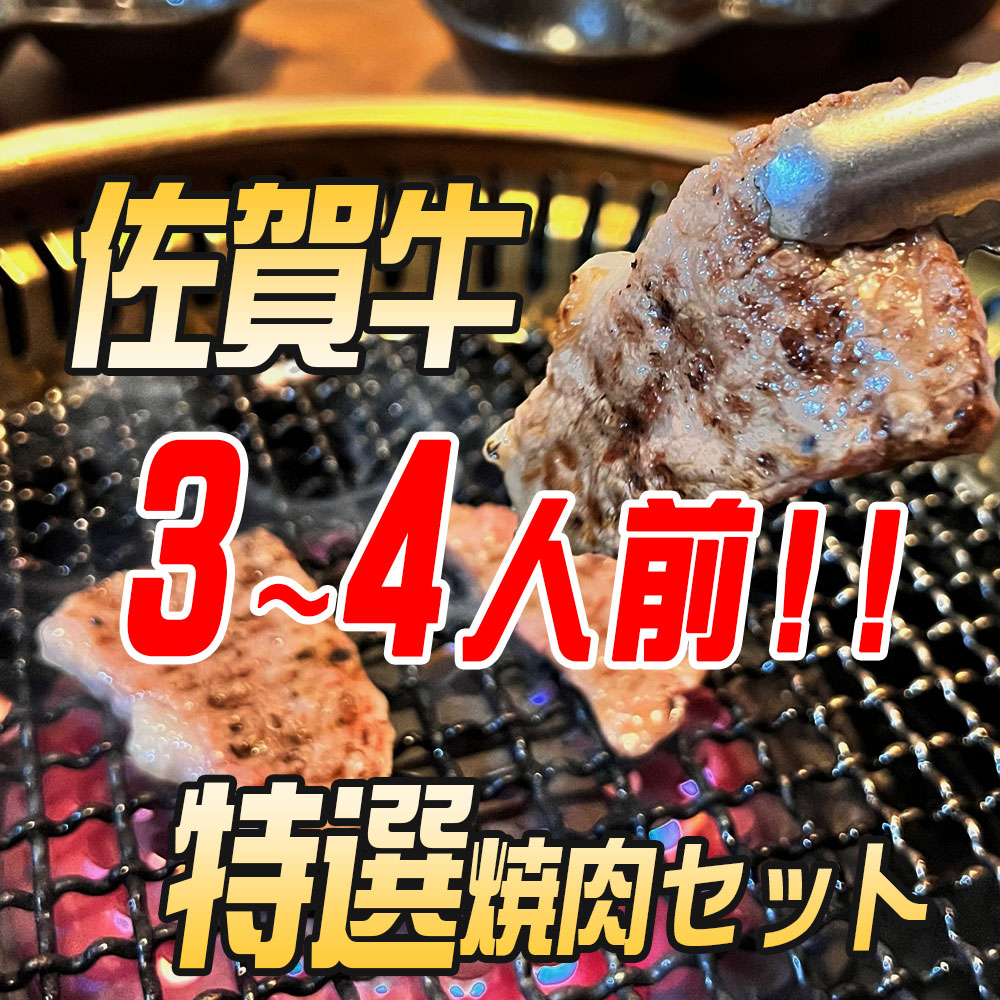 0円 最大80％オフ！ 佐賀牛 焼肉 焼肉セット 3-4人前 800g 食べ比べ 詰め合わせ 上カルビ カルビ ロース モモ タン ホルモン  ハンバーグ BBQ お得 父の日