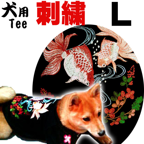 【いぬ3 】 楽天市場】防水首輪 犬 ウォータープルーフ首輪 犬用 首輪