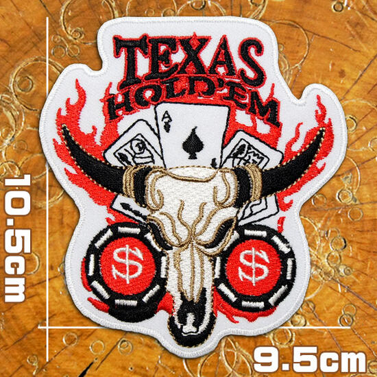 ディノ ワッペン セット 71k2bCvRW-L._UF350,350_QL50_.jpg