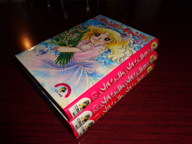 楽天市場 中古 小説キャンディ キャンディ 全3冊セット 少年少女講談社文庫水木杏子 いがらしゆみこ 絵講談社昭和53 54年 1巻重刷 他初版 単行本ハード 本体 ページ 変色有 1巻カバー破れ有 2巻カバー背ヤケ少有 管理番号 児童書865 尾道書房