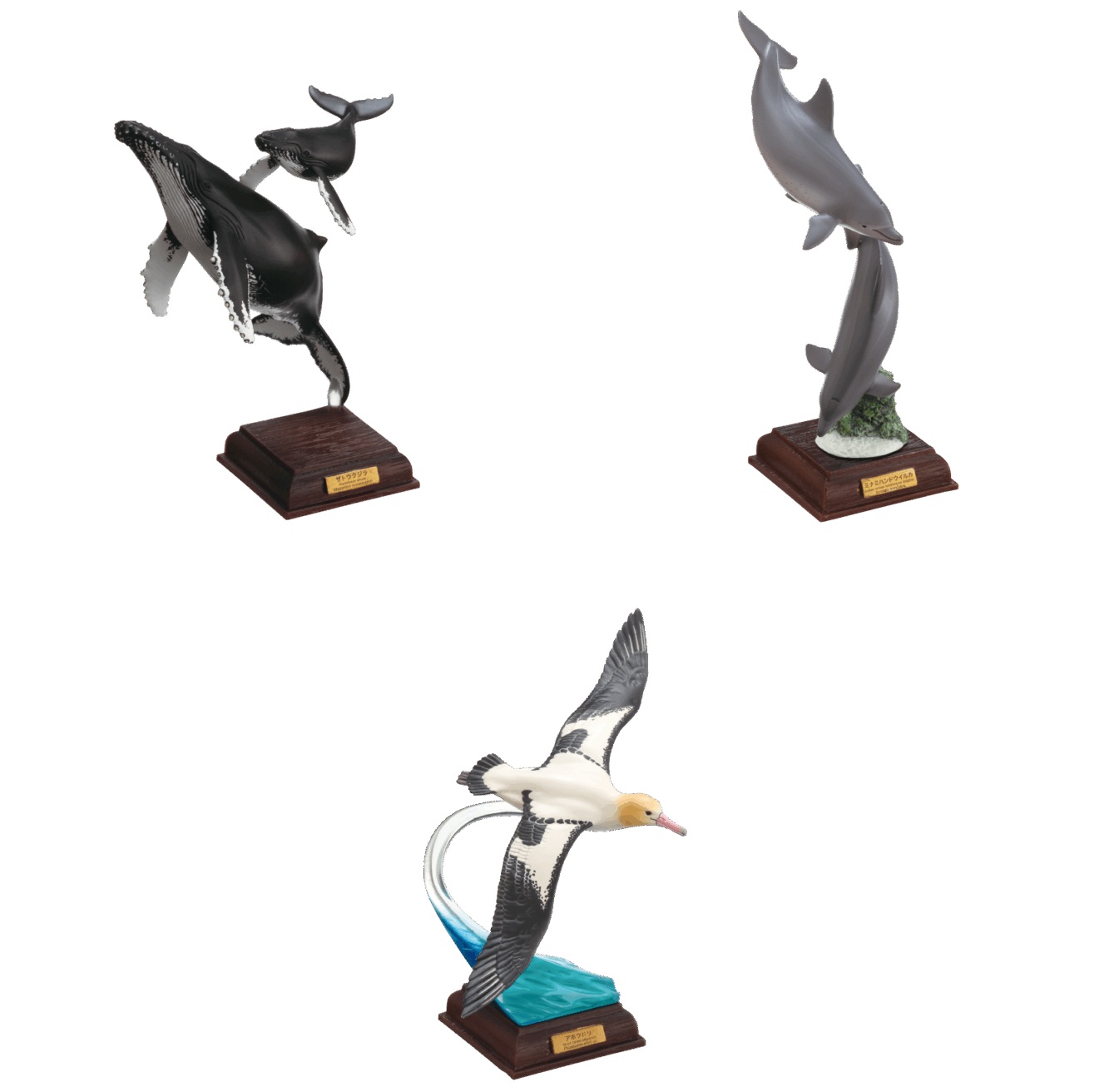 楽天市場】ネイチャーテクニカラー 小笠原 特装版 全6種セット【フル