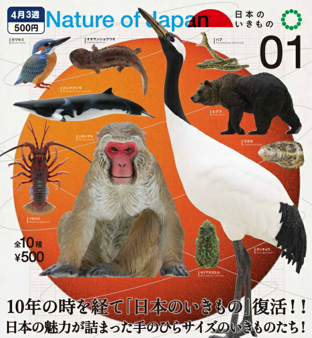 奇譚クラブ ネイチャーテクニカラー 日本のいきもの 02 全10種 コンプセット Amazon | ネイチャーテクニカラー Nature of Japan 日本の