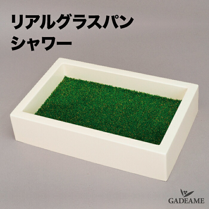 外構と植栽を引き立てる庭のライトアップ心積もり