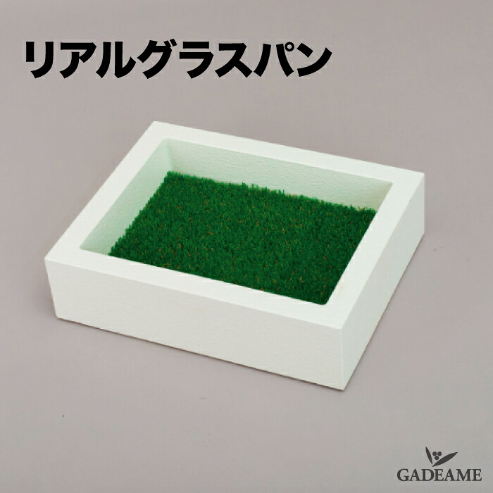 外構と植栽を引き立てる庭のライトアップ腹積もり