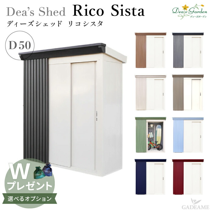 new_ricosista_001.jpg