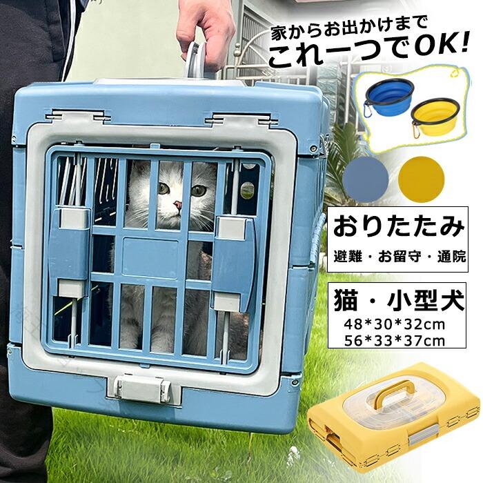 雨の日も、日本晴れの日も。どんな天気模様でも好いたらしいに過ごせる、あなたの不可欠品。