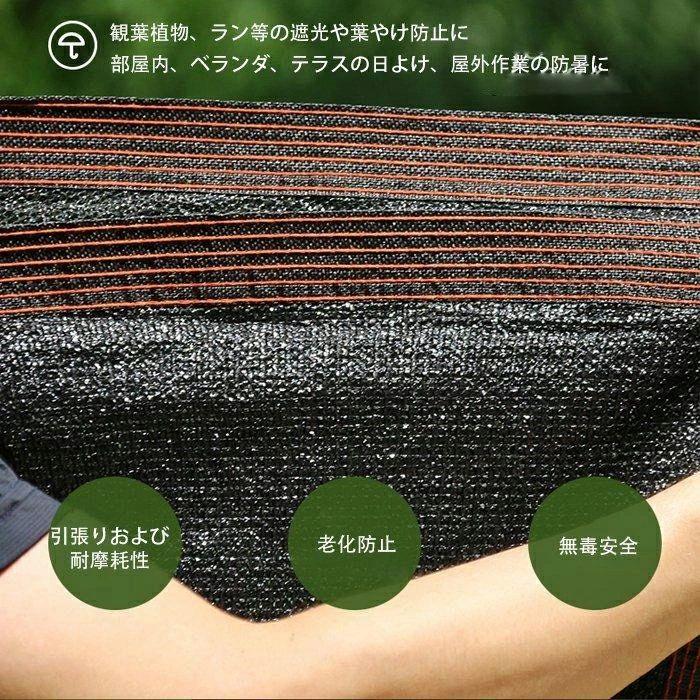 雨の日も、日本晴れの日も。どんな天気模様でも好いたらしいに過ごせる、あなたの不可欠品。