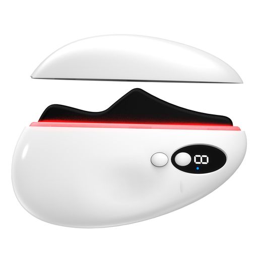 CAXA BOOSTER 2個セット 美顔器　EMS LED 電気バリブラシ 79550ebe3a5d212ad18dc69c54ecce